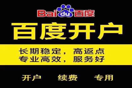某电商平台的SEM推广策略——代运营公司的实践